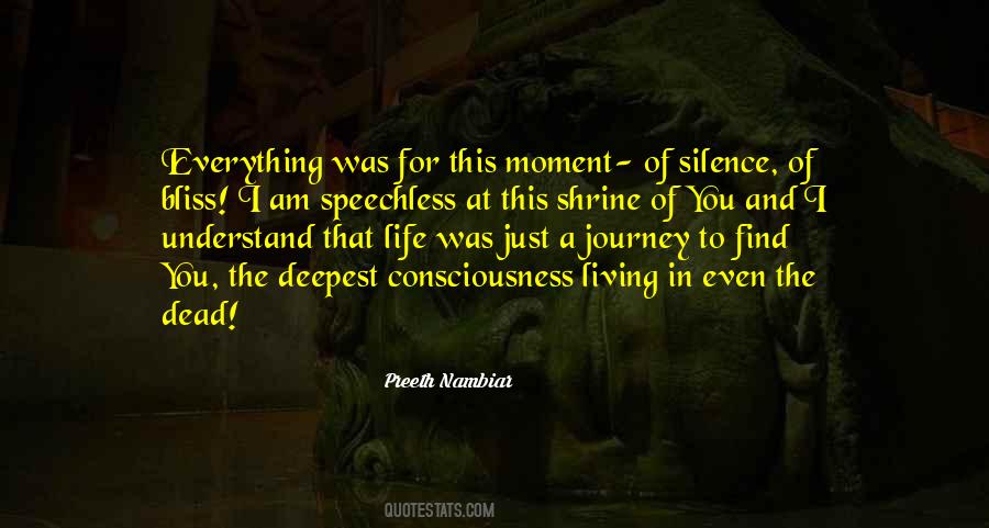 Quotes About A Moment Of Silence #1515967