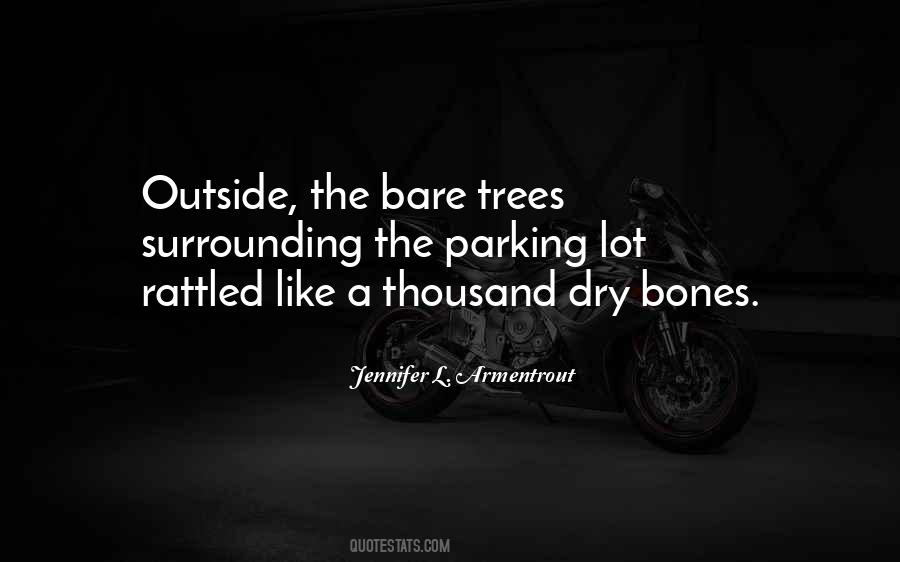 Quotes About Bare Bones #1274971