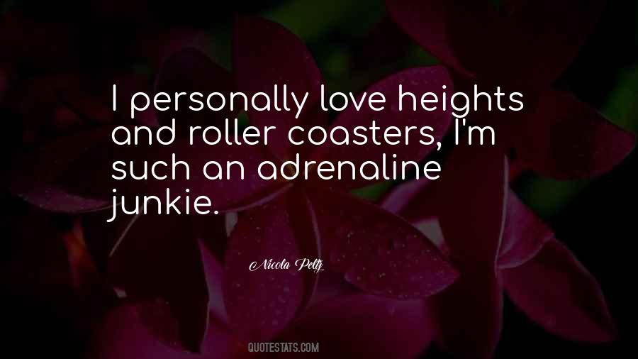 Quotes About Roller Coaster Love #1628675