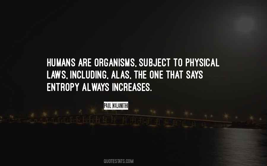 Computer Models Quotes #1201152