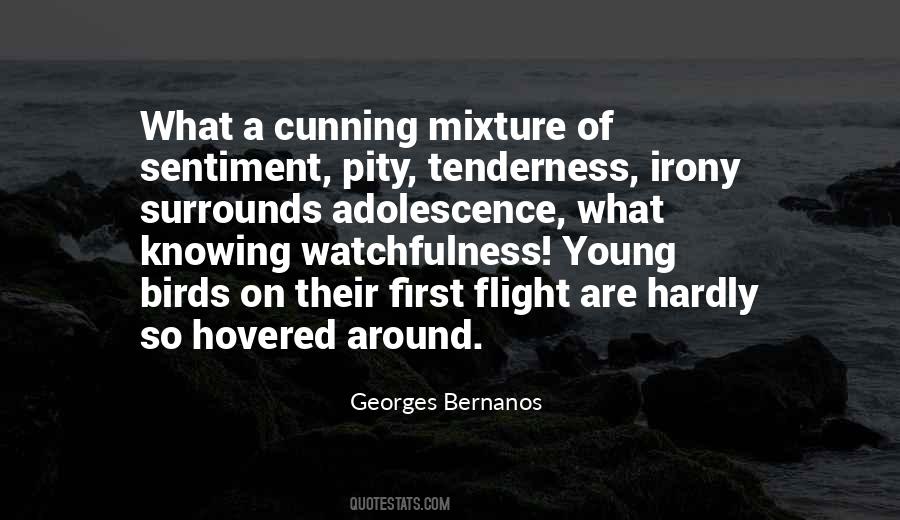 Quotes About Adolescence #288443 Quotes About Adolescence #288443