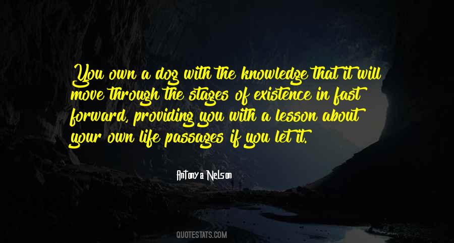 Quotes About Passages #1149707