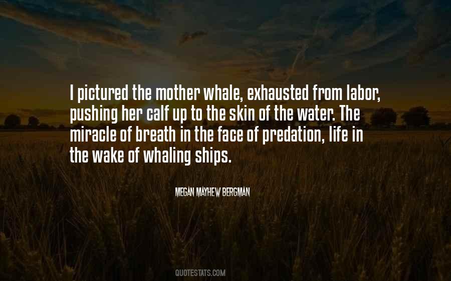 Quotes About Whaling #384306
