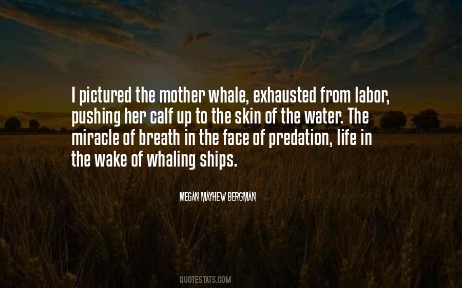 Quotes About Whaling #384306