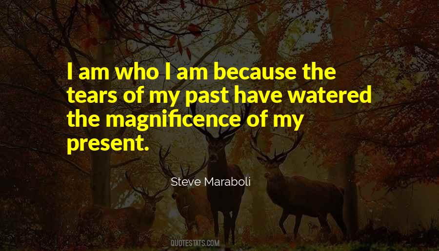 Quotes About The Magnificence Of Life #1725780