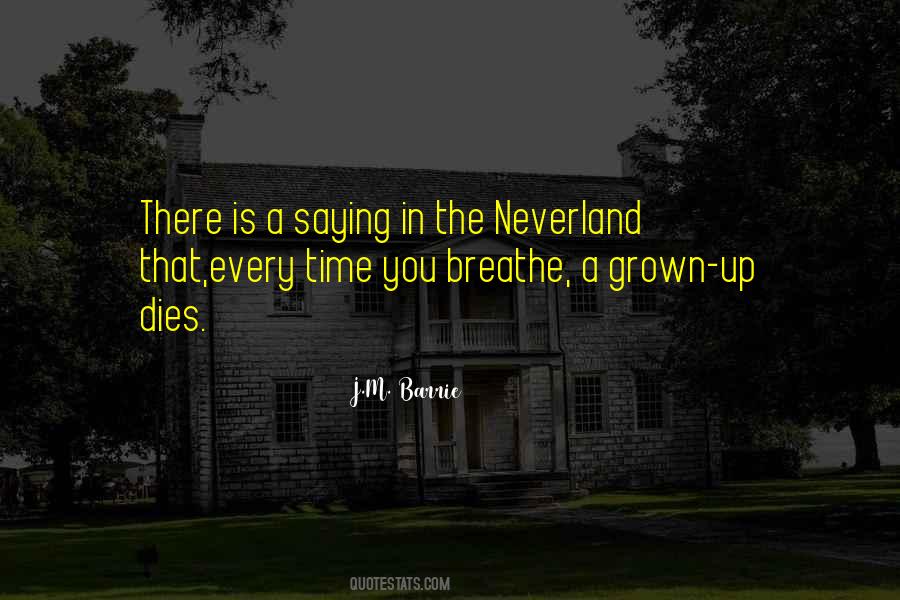 Quotes About Neverland #156052