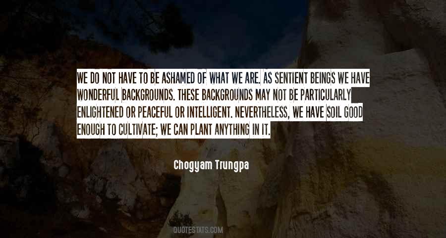 Quotes About Sentient Beings #1059206