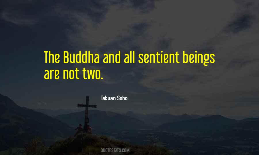 Quotes About Sentient Beings #44319