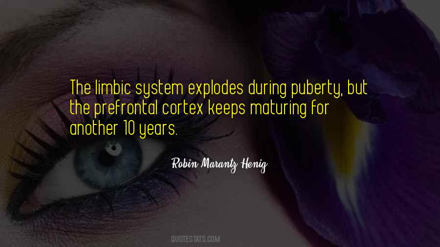 Quotes About The Limbic System #1821921