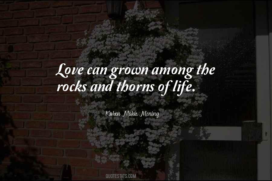 Quotes About Rocks And Life #1463167