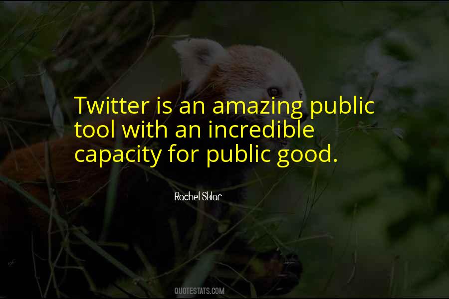 Public Good Quotes #1323248