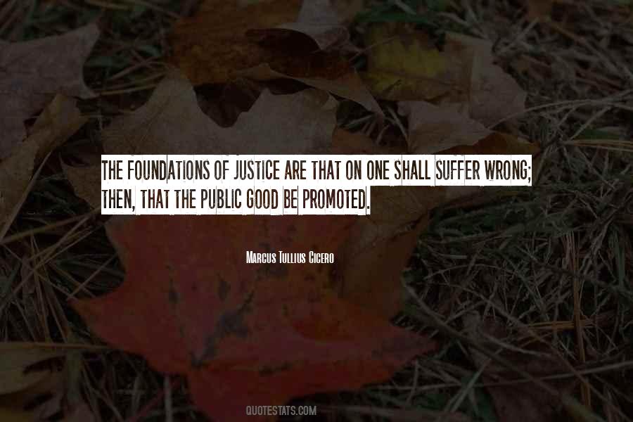 Public Good Quotes #133285