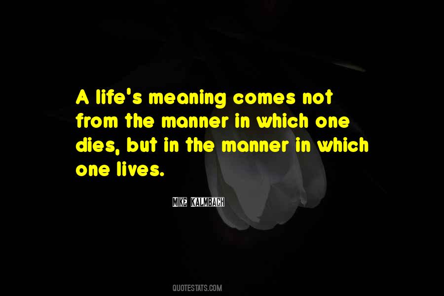 Quotes About Life's Meaning #640476