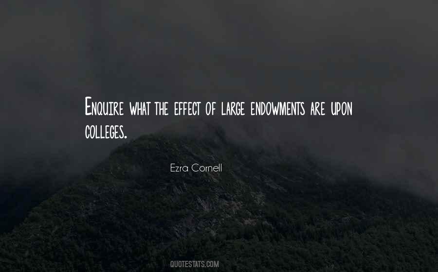 Quotes About Endowments #832030