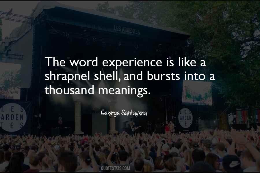 Word Meanings Quotes #466005