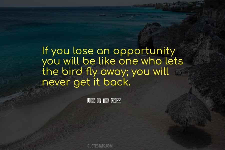 Lose The Opportunity Quotes #1147966