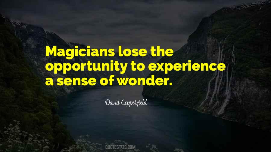 Lose The Opportunity Quotes #1548838