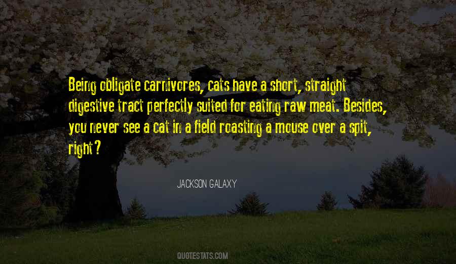 Quotes About Carnivores #688004