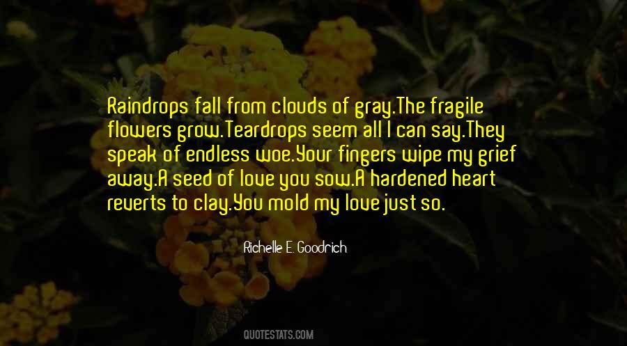 Quotes About Teardrops #451550
