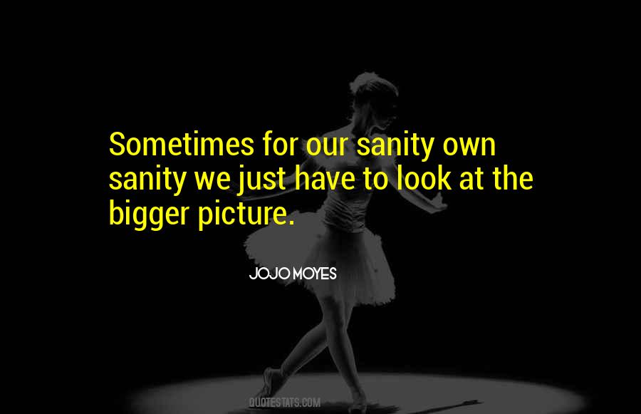 Quotes About The Bigger Picture #1375089