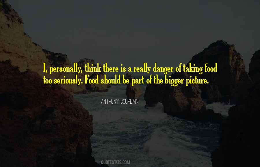 Quotes About The Bigger Picture #285275