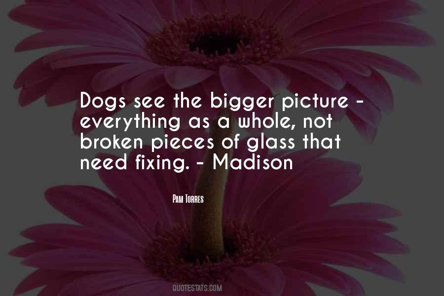 Quotes About The Bigger Picture #424296