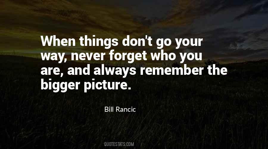 Quotes About The Bigger Picture #771380