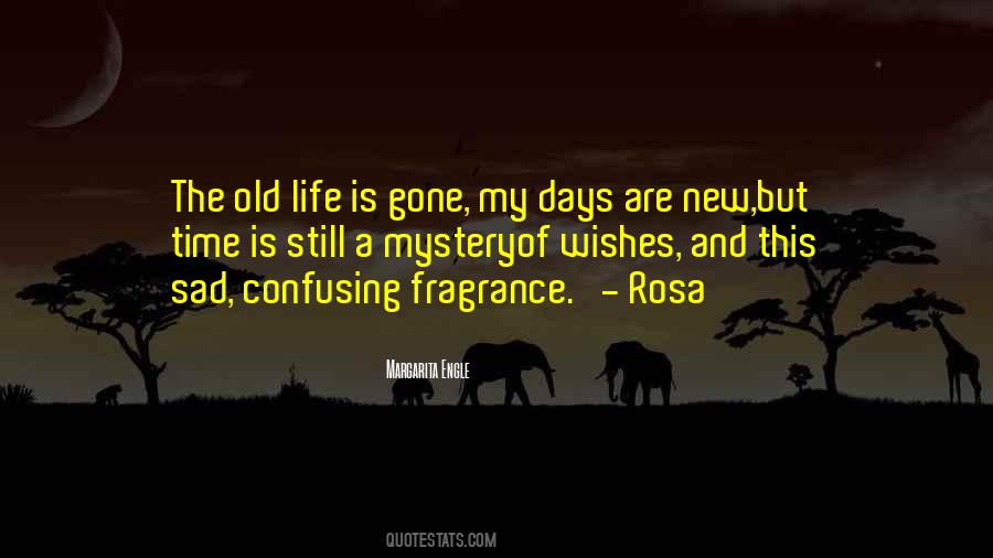 Old Life Quotes #90981