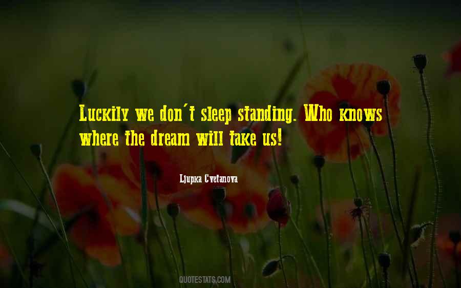 Quotes About Dreams While Sleeping #655857