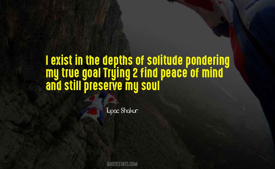 Quotes About Solitude #1705777