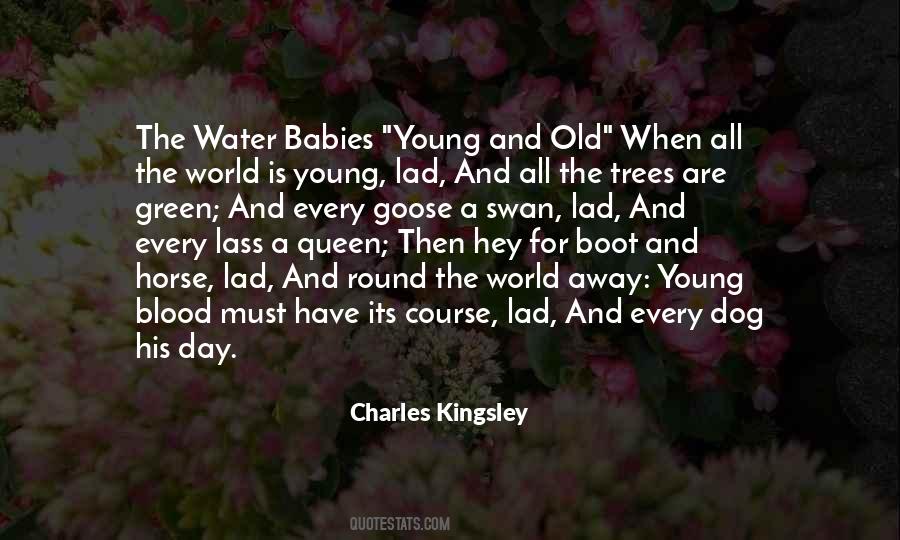 Quotes About Young And Old #1523513