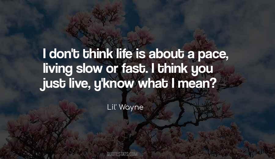 Slow Pace Of Life Quotes #528709