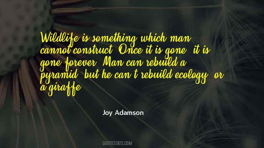 Quotes About Ecology #34021