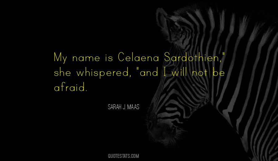Quotes About Celaena Sardothien #683083