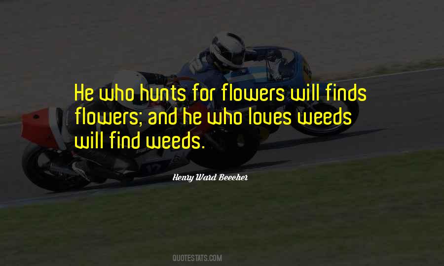 Weeds Are Flowers Too Quotes #1024864