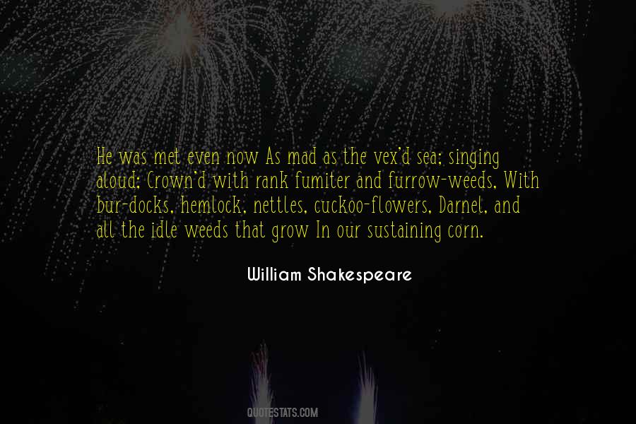 Weeds Are Flowers Too Quotes #1255468