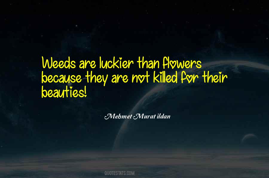 Weeds Are Flowers Too Quotes #959588
