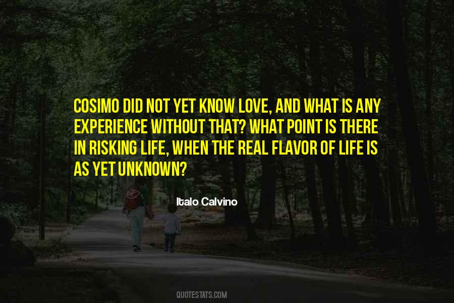 Quotes About Risking Life #1338806
