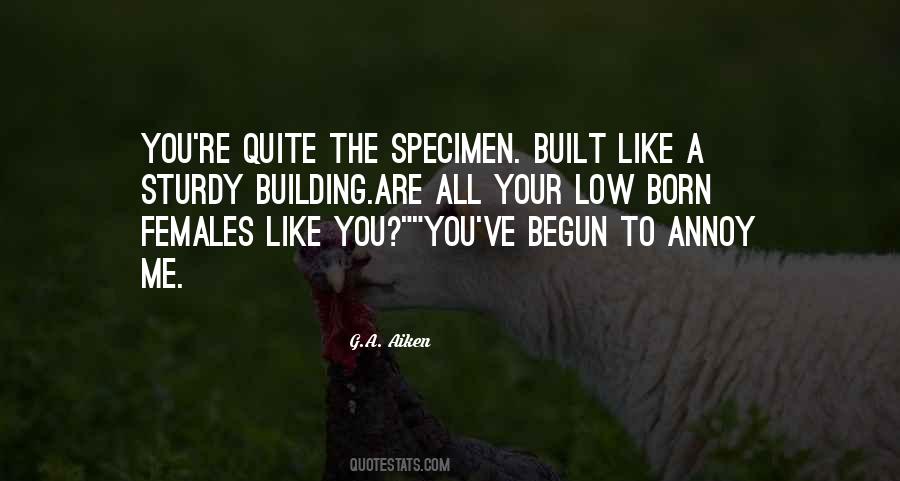 Sturdy Build Quotes #1823457