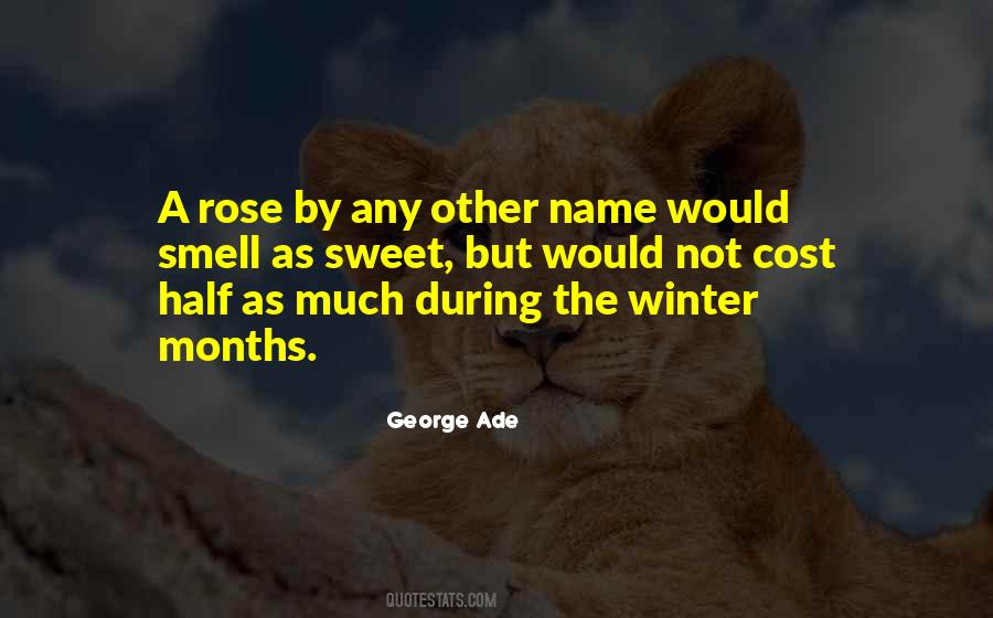 The Name Of The Rose Quotes #1129116