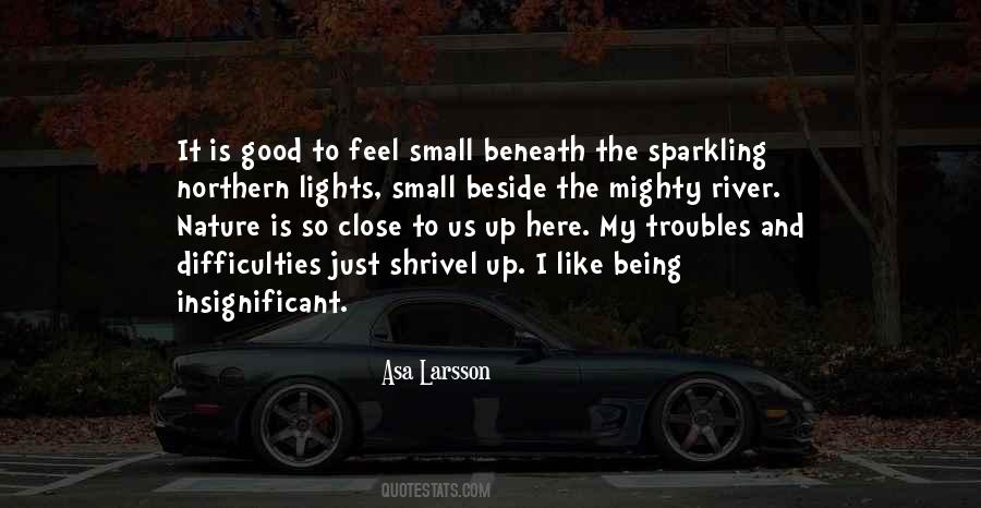 Quotes About Sparkling Lights #487477