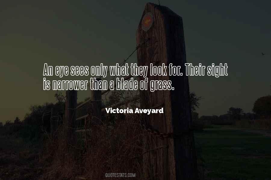 Glass Sword By Victoria Aveyard Quotes #295246