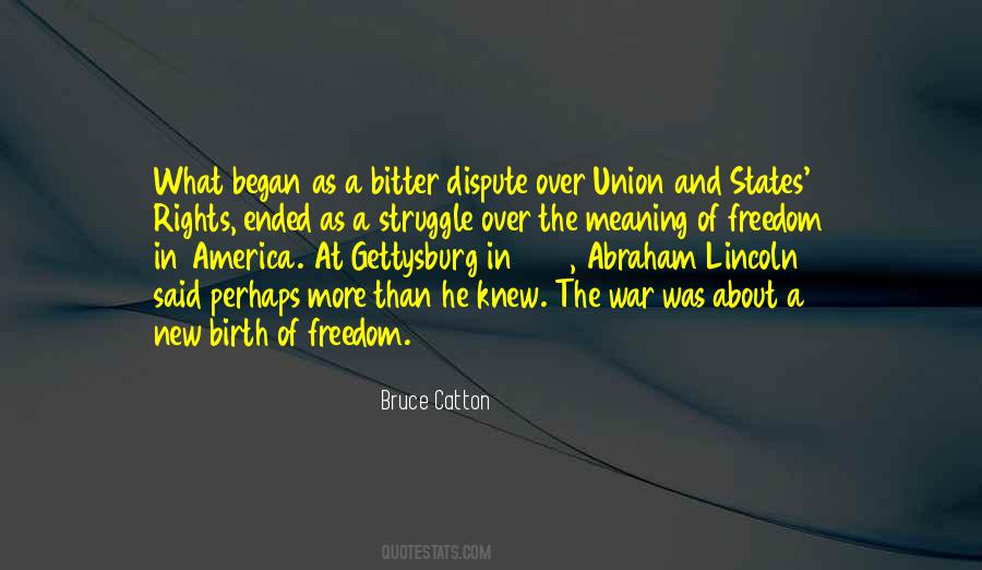 Freedom Of America Quotes #566992