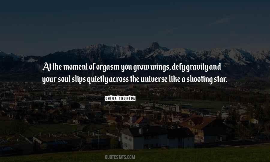 Soul Of The Universe Quotes #228289