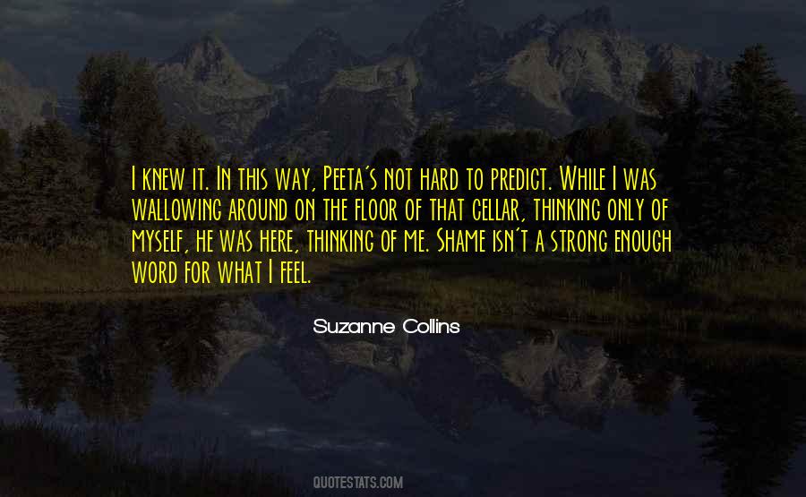 Quotes About Shame On Me #1345845