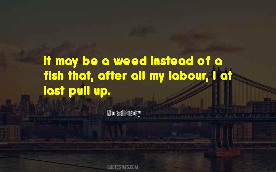 Quotes About A Weed #1198155