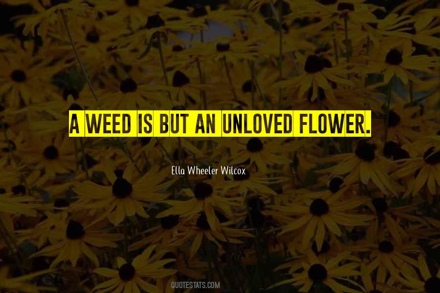 Quotes About A Weed #1425335