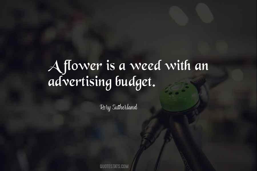 Quotes About A Weed #1427348