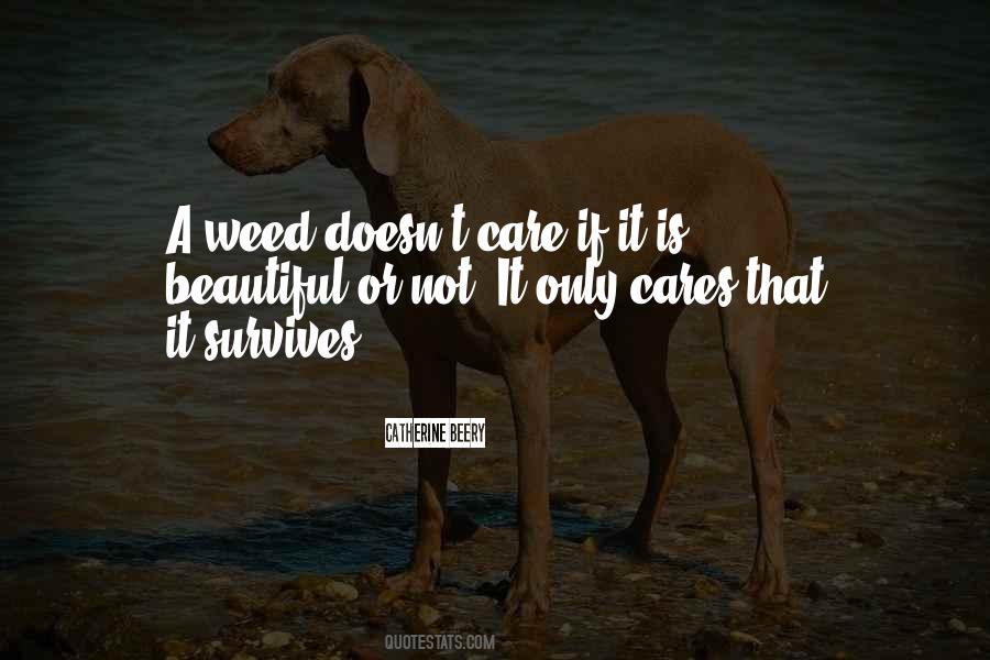 Quotes About A Weed #292168