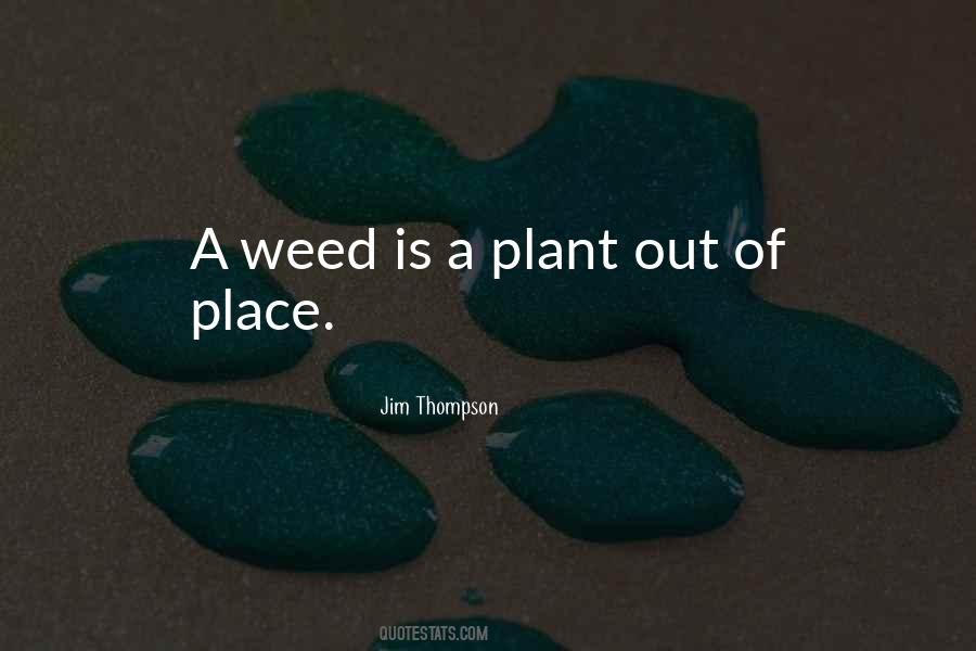 Quotes About A Weed #320394